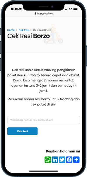 tracking borzo